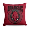 thumbnail image 1 of Arkansas NCAA Triumph Square Cloud Pillow 24 inches, 1 of 4