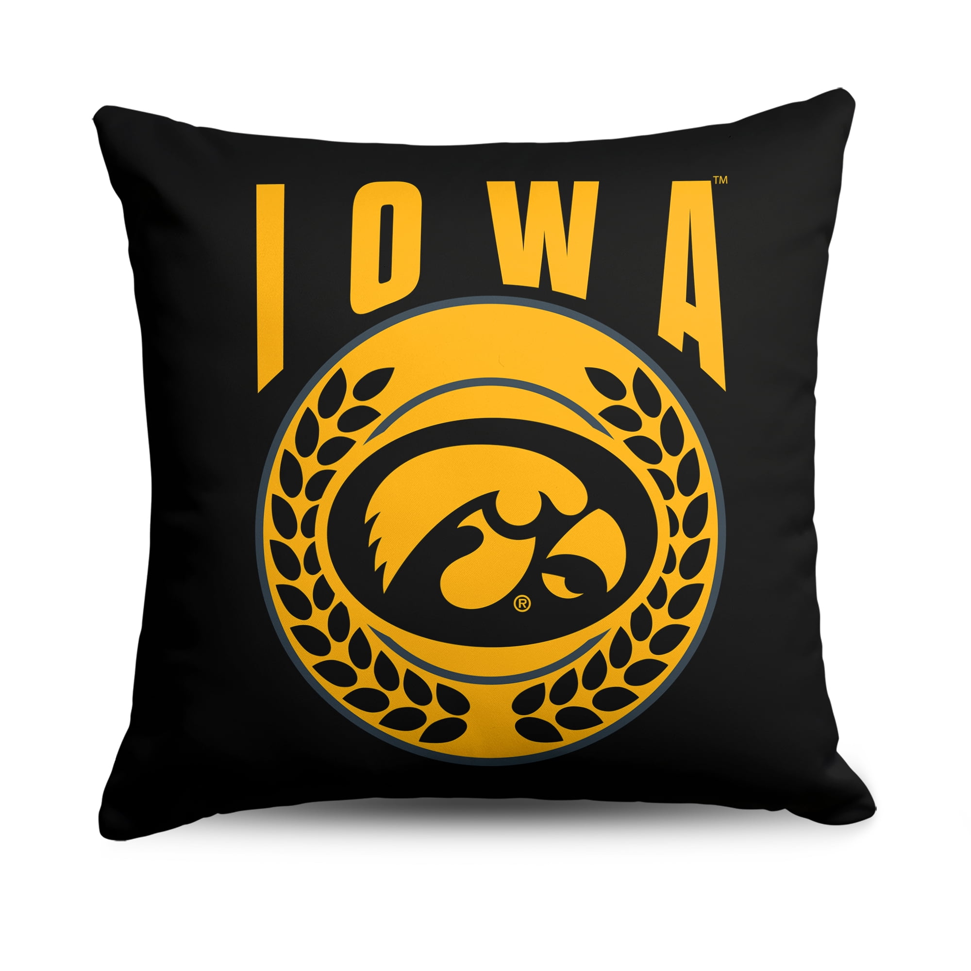 24" Cloud Pillow -IOWA