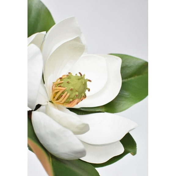 24" Faux Magnolia Blossom Stem