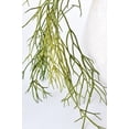 thumbnail image 1 of 24" Faux Pencil Cactus Hanging Succulent Bush, 1 of 4