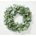 thumbnail image 1 of 24" Faux Seeded Eucalyptus Wreath - Hearth & Hand™ with Magnolia, 1 of 1
