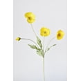 thumbnail image 1 of 24" Faux Yellow Poppy Stem, 1 of 6