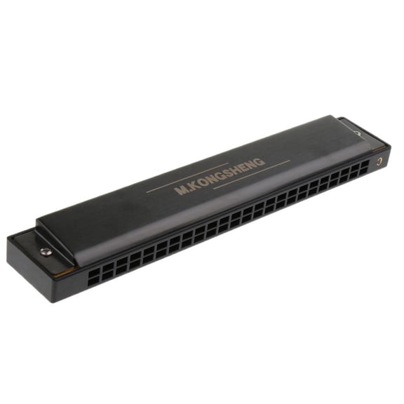 24 Holes Adult Learning Tremolo Harmonica for Students Practicing Matte Black