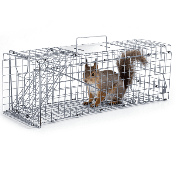 24" Humane Animal Trap Cage, Foldable Live Animal Rescue Trap with Pedal Trigger, Metal Wildlife Catching Cage for Rabbits, Squirrels, Moles, and Stray Cats of up to 5.5 lbs