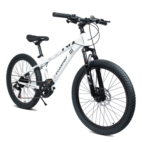 24 Inch 21 Speed Mountain Bike, Adult Mountain Bicycle with Front Suspension, Dual Disc Brakes, Steel Frame, Non-Slip Tires for Men Women Outdoor Cycling