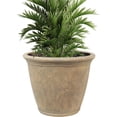 thumbnail image 1 of 24-Inch Anjelica Large Plastic Pot for Plants - Outdoor Double-Walled Large Plastic Planter with Drillable Drainage Holes - Beige, 1 of 9