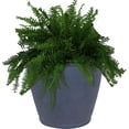 thumbnail image 1 of 24-Inch Anjelica Large Plastic Pot for Plants - Outdoor Double-Walled Large Plastic Planter with Drillable Drainage Holes - Slate, 1 of 9