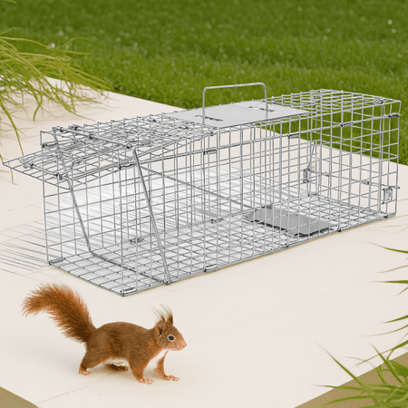 24-Inch Live Animal Cage , Heavy-Duty Folding Wire Cage for Raccoons, Cats, Rabbits, Squirrels and More, with Carrying Handle