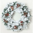 thumbnail image 1 of 24 Inch Norfolk Pine Christmas Wreath with LED Lights Artificial Christmas Wreath with Pine Cones and Red Berries for Front Door Wall Window Indoor Outdoor Holiday Decor, 1 of 8