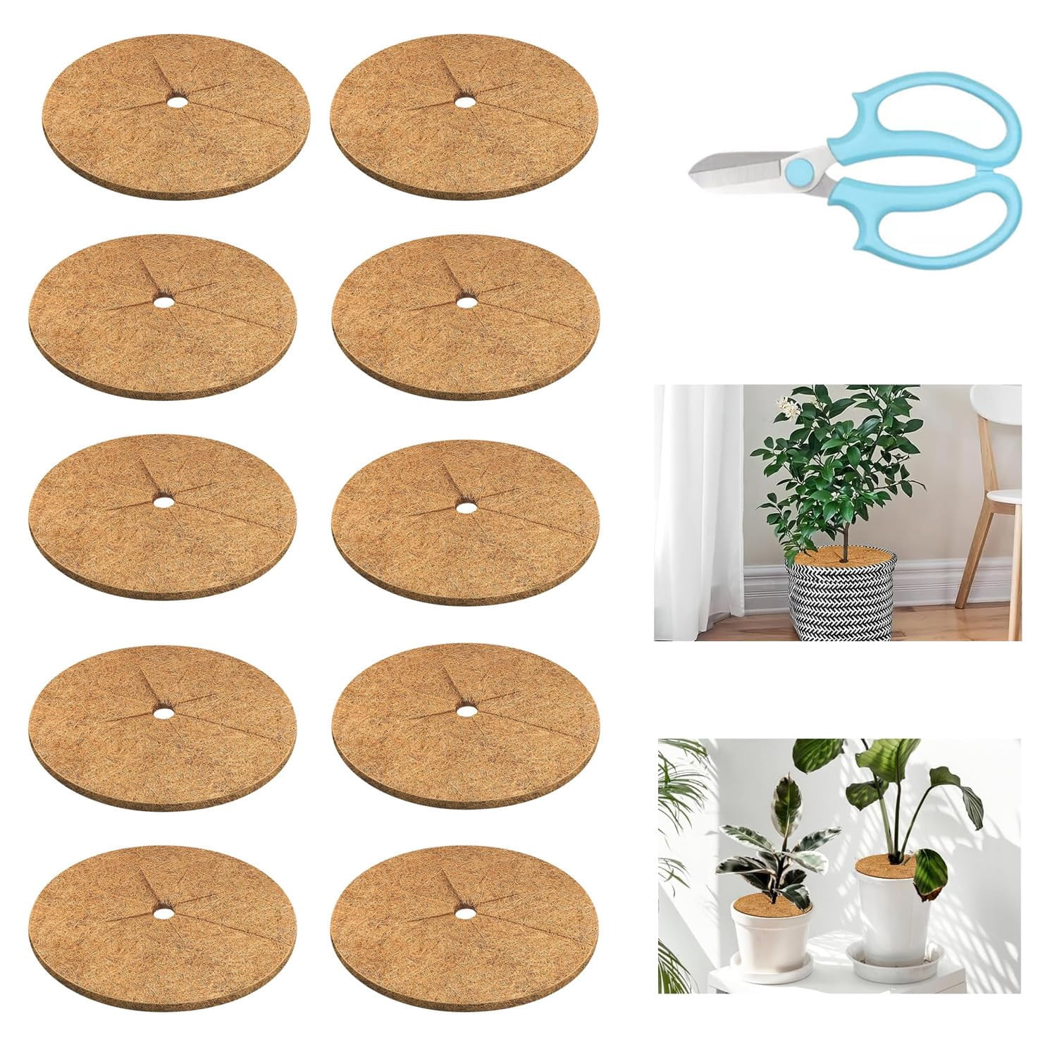 24 Inch Tree Rings Weed Barrier, 6Pcs Coconut Fibers Tree Mulch Ring Protector Mat with Garden Scissors, Natural Mulch Rings for Trees, Tree Ring Mulch Mat Disc Plant Cover for Indoor Outdoor Plants