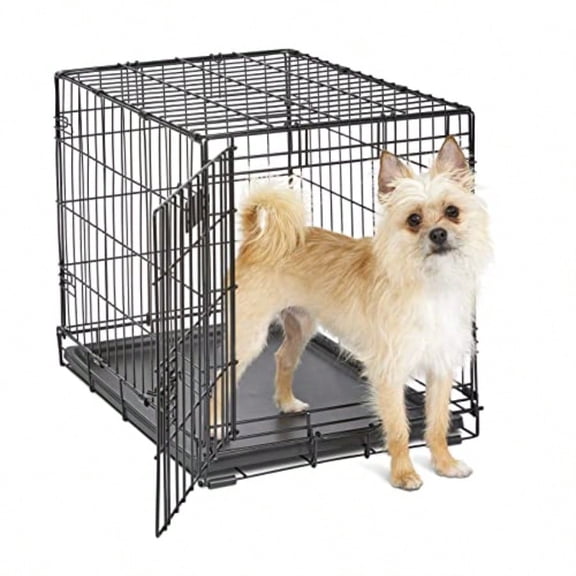 24-Inch iCrate Folding Dog Crate with Divider Panel Leak-Proof Tray and Secure Latches Metal Wire Kennel for Small Breeds Portable Durable and Easy to Assemble