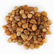 24 LBS River Rocks2 x 12 LBS Bags, StoneCreek, Decorative Garden Stones for Plant Landscaping, Polished Gravel Filler Pebbles, Large Size, Pale Yellow