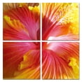 thumbnail image 1 of 24" Multicolor Canvas 4 Panels Hibiscus Photo, 1 of 3