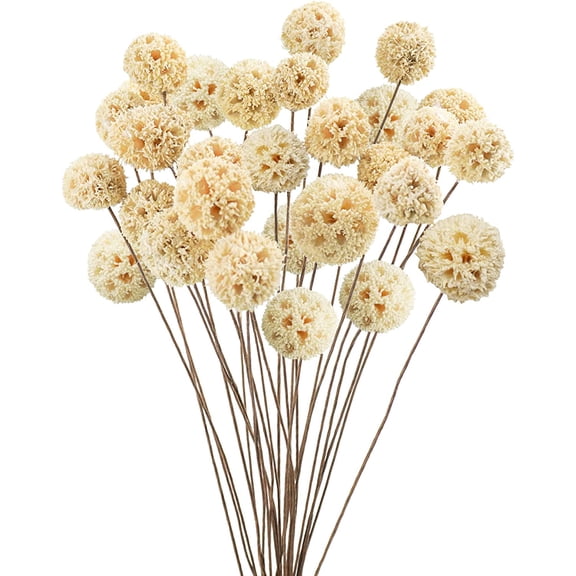 24 PCS Dried Craspedia Billy Balls Flowers, 18 Natural Dried Flowers Bouquet for Vase Floral Arrangements Wedding Table Centerpieces Party DIY Home Decor (White)