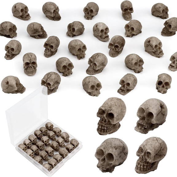 24 PCS Mini Skull Heads, Miniature Skeleton Heads Figurines, Tiny Resin Skulls for Crafts Halloween Party Micro Landscape Cake Topper Plants Outdoor Decoration