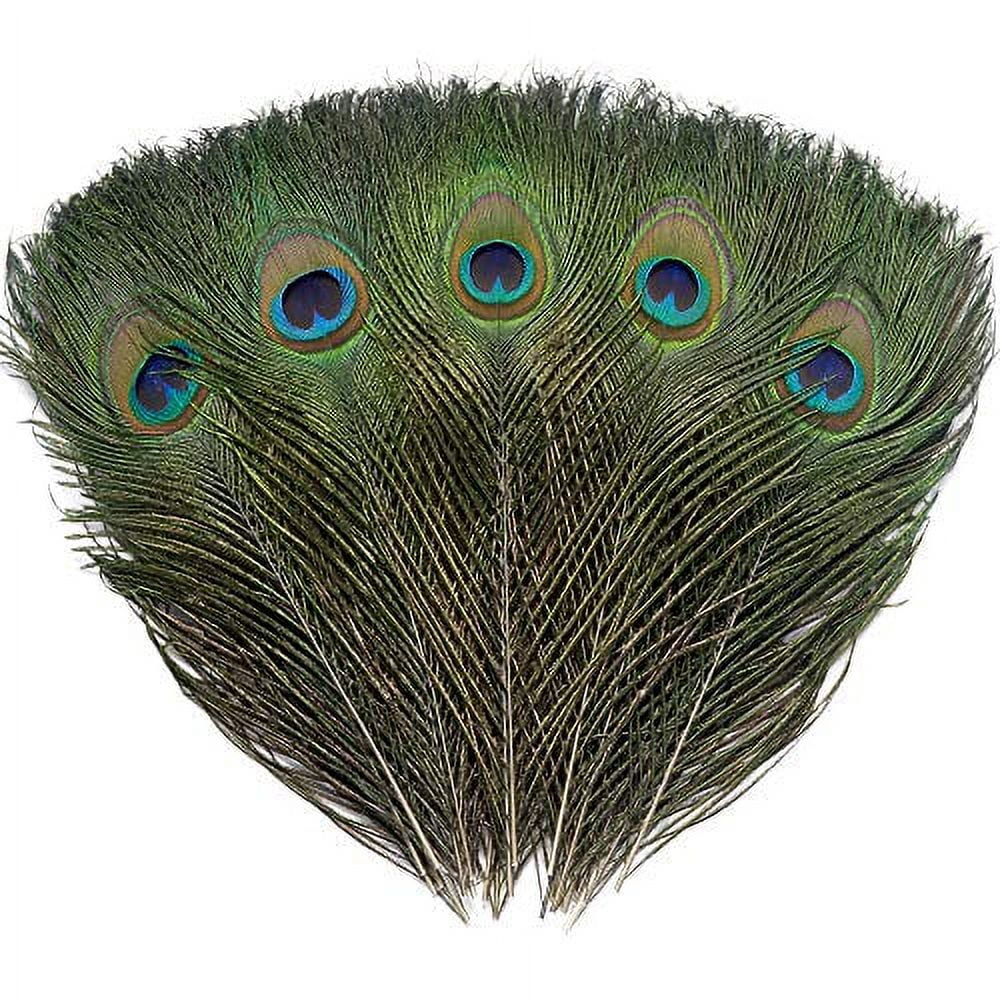 Hello Hobby Multicolor Feathers - Arts and Craft - 4.75 x 0.52 x 8.75 