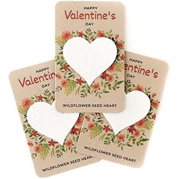 24 PCS Valentine's Day Party Favors Wildflower Flower Seed Cards For School Classroom Exchange Prizes Gifts$$Home Decor, Kitchen, & Other