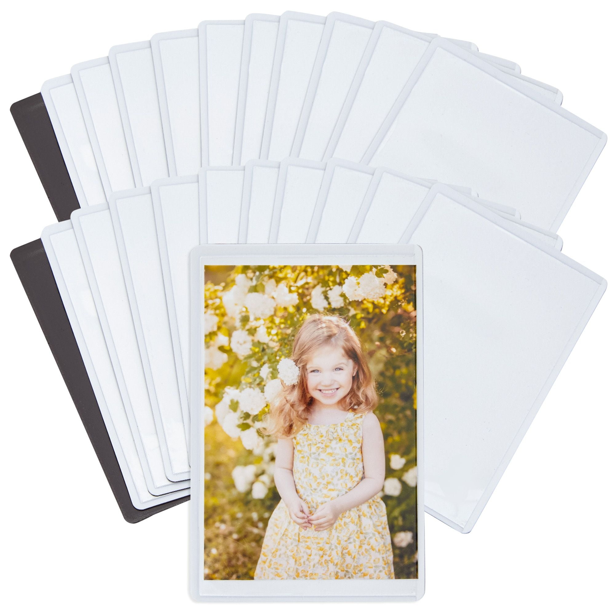  5 Magnetic Photo Protector Sleeves 8.5 x 11 : Office Products