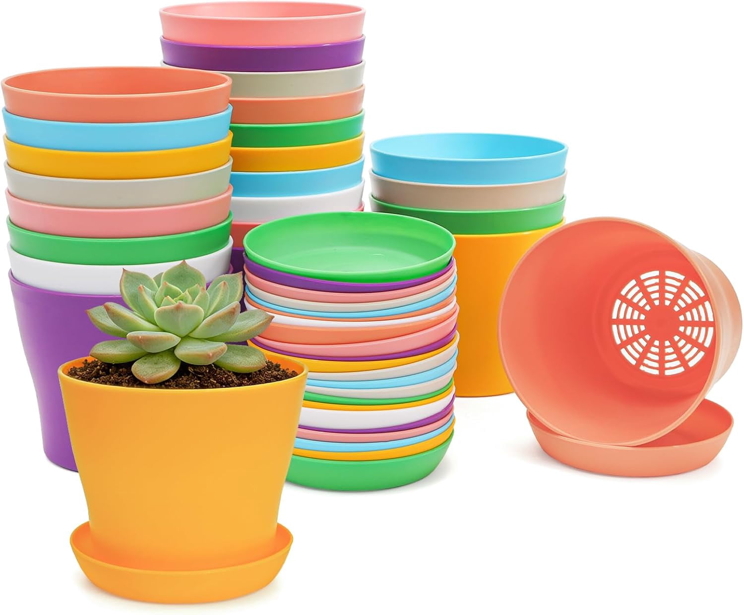 24 Pack 4" Small Plastic Plant Flower Pot with Saucers, Seedlings Nursery Pots Planter with Pallet Planting Gardening Containers - Assorted 8 Colors