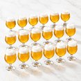24-Pack 5 Oz Belgian Beer Tasting Flight Glasses for Beer Sampling and ...