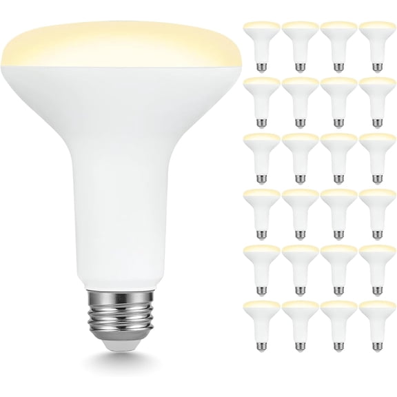 24 Pack BR30 LED Bulbs, 7.5W (65W Equivalent), 650 Lns, 2700K Soft White, Dimmable, 110 Beam Angle, CRI 80, E26 Base, Indoor Recessed Flood Light for Kitchen, Bedroom, Living Room
