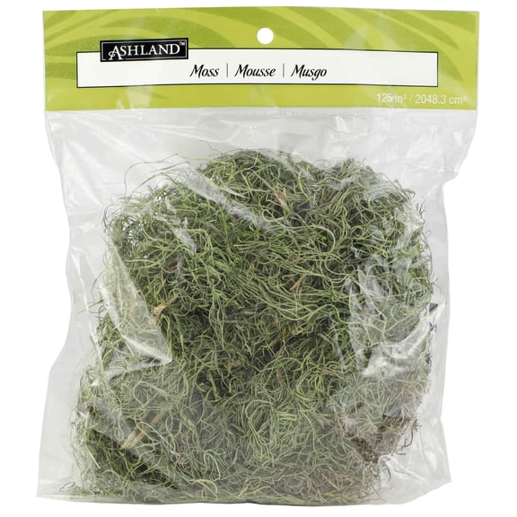 Ashland Basil Green Spanish Moss, 24 Pack