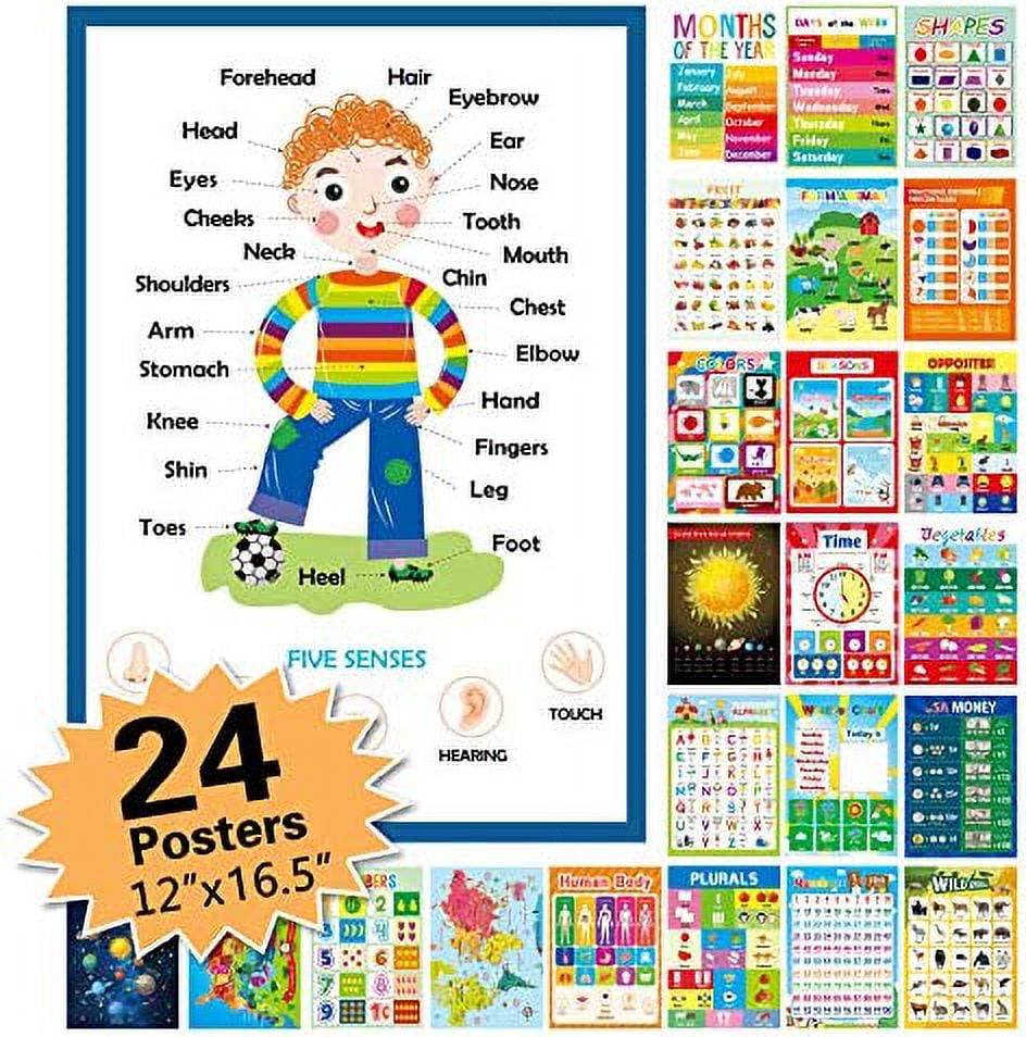 Classroom Posters Educational Posters For Kids - 12-Pack Alphabet