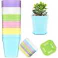 thumbnail image 1 of 24 Pack Multi Color Plastic Plant Pot,Colorful Plastic Square Pots,Mini Plastic Square Planters for Indoor Outdoor Plants Flowers,Garden,Office,Home Decor,with Pallet, 1 of 14