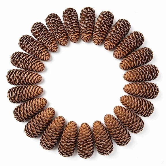 24 Pack Natural Large Pine Cones, 6-8cm Bulk Real Dried Pinecones for Christmas Wreath, Fall Harvest Crafts, Thanksgiving Vase Filler and Rustic Home Decor