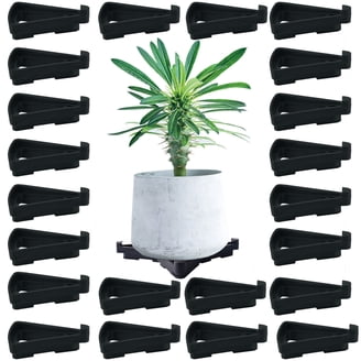 plant light for terrarium Plant Grow Light: The Ultimate Plant Growth Solution  Tropical Glass