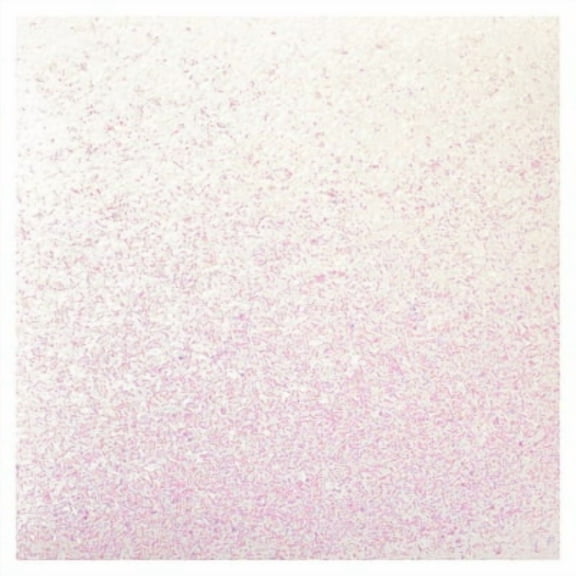 24 Pack: Prismatic Glitter Paper by Recollections - 12" x 12"