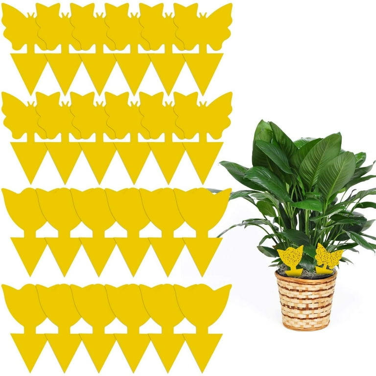 Fruit Fly Traps with Sticky Pads, Fruit Flies Gnat Killer for Plant Indoor  Outdoor, Yellow Gnat Sticky Traps with 2 Refills, Fly Catcher Gnat Trap