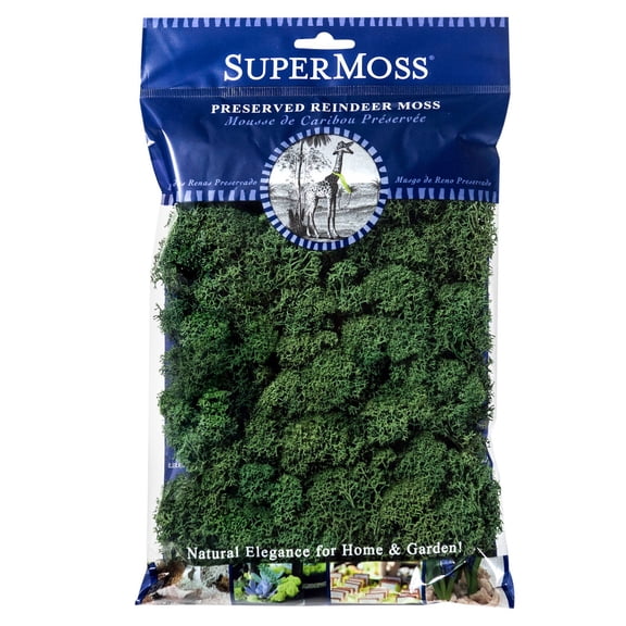 SuperMoss Preserved Forest Reindeer Moss, 24 Pack