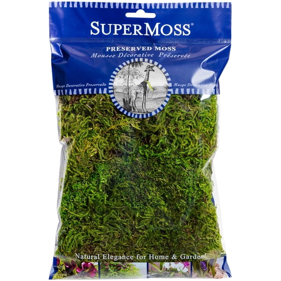 SuperMoss Preserved Green Forest Moss, 24 Pack
