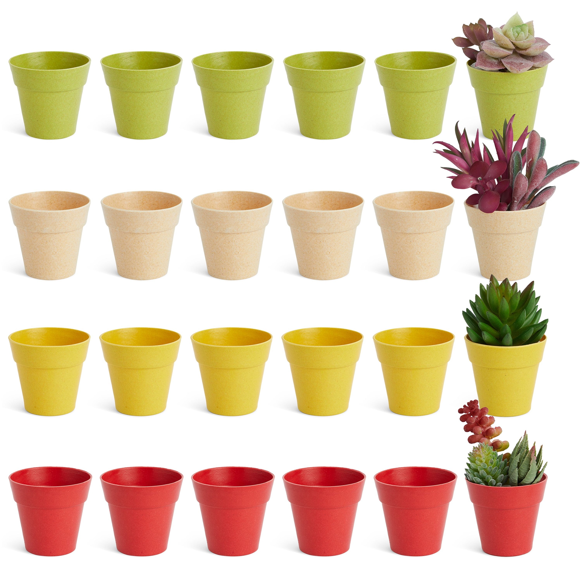24 Pack Small Plastic Plant Saucers for Pots, 4 Inch Drip Tray for