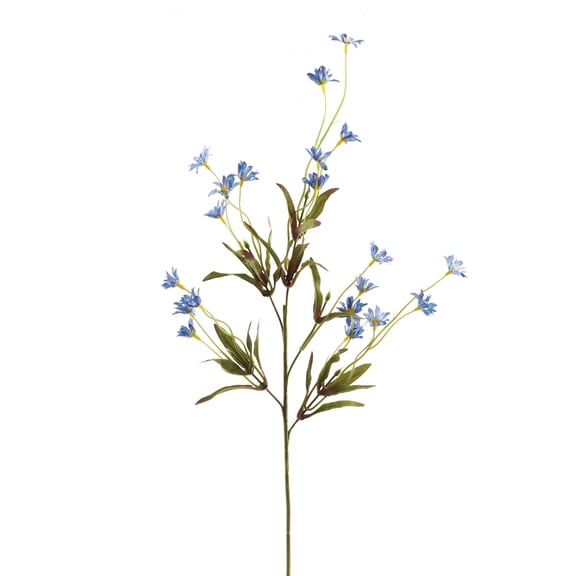 24 Pack: Wild Daisy Spray by Ashland