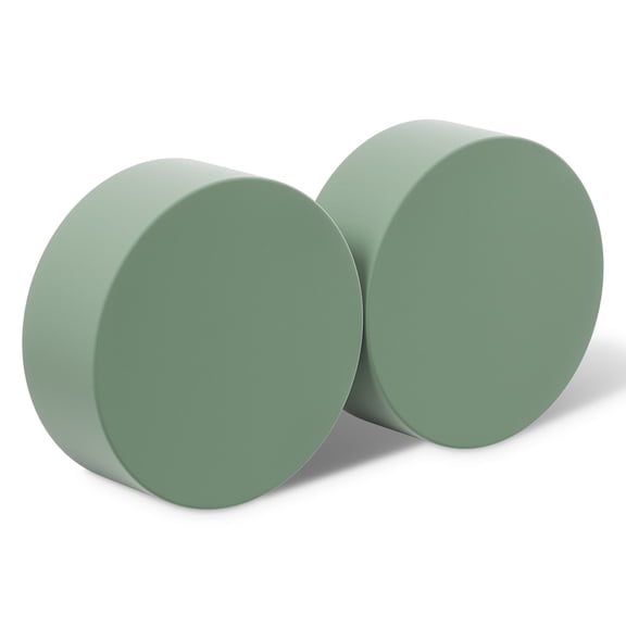 FloraCraft DryFM Green Disc, 24 Packs: 2 ct. (48 total)