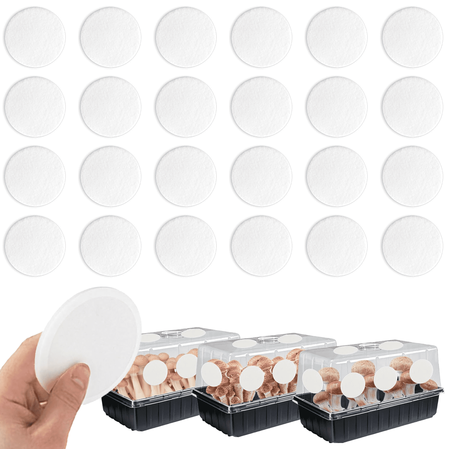 24-Pcs 3