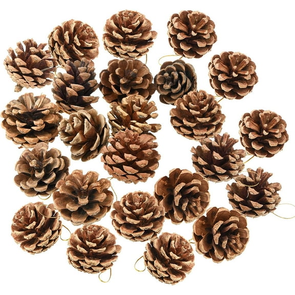 24 Pcs Christmas Hanging Pine Cones Ornaments 1.57-2.4 Inches Tall,Christmas Decorations, Natural Pine Cones Bulk Ornaments with String Ornaments for Xmas