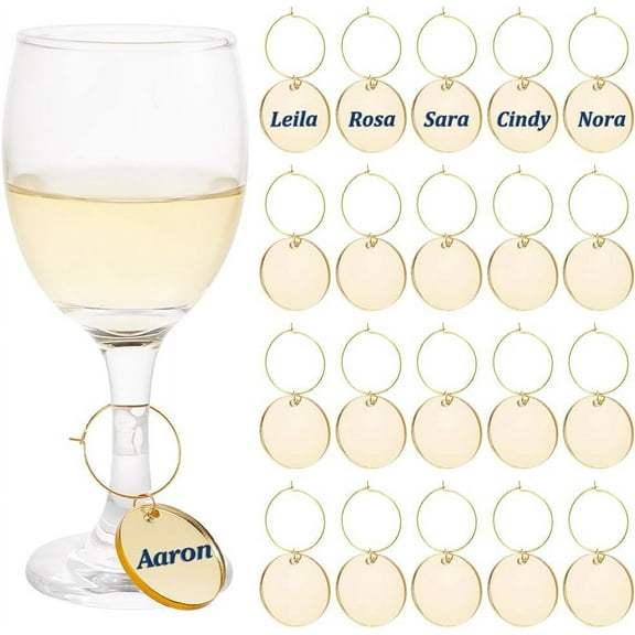 24 Pcs Flat Round Wine Glass Markers Tags Funny Wine Glass Identifier Tags With Gold Rings Wine Glass Jewelry for Glasses Tumbler Cup Wine Tasting Party Gift for DIY