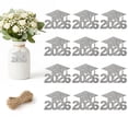 thumbnail image 1 of 24 Pcs Graduation Centerpieces Paper Hanging with Rope – Class of 2026 Table Decorations for Grad Party, Celebration Events, and School Ceremony – Easy to Hang for Indoor and Outdoor Use, Silver, 1 of 1