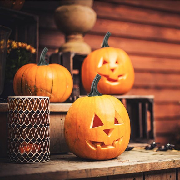 24 Pcs Plastic Pumpkin Stems for Halloween Crafts Fall Decor