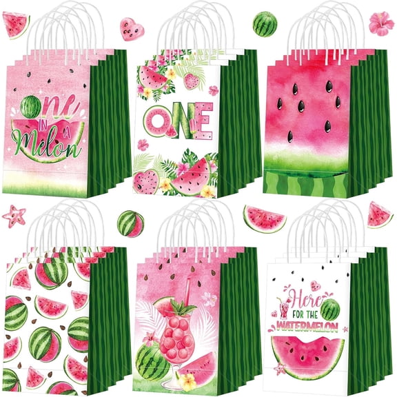 24 Pcs Watermelon Party Treat Bags Watercolor One in a Melon Goodie Candy Bags with Handles Watermelon Gifts Bag for Summer Birthday Baby Shower Party Favors Supplies