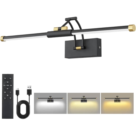 24 Picture Lights for Wall Battery Operated, Wireless with Remote, Recharable Light 3000K/4000K/6000K Dimmable, Art Lighting Paintings Frame Gallery Dartboard, Gold