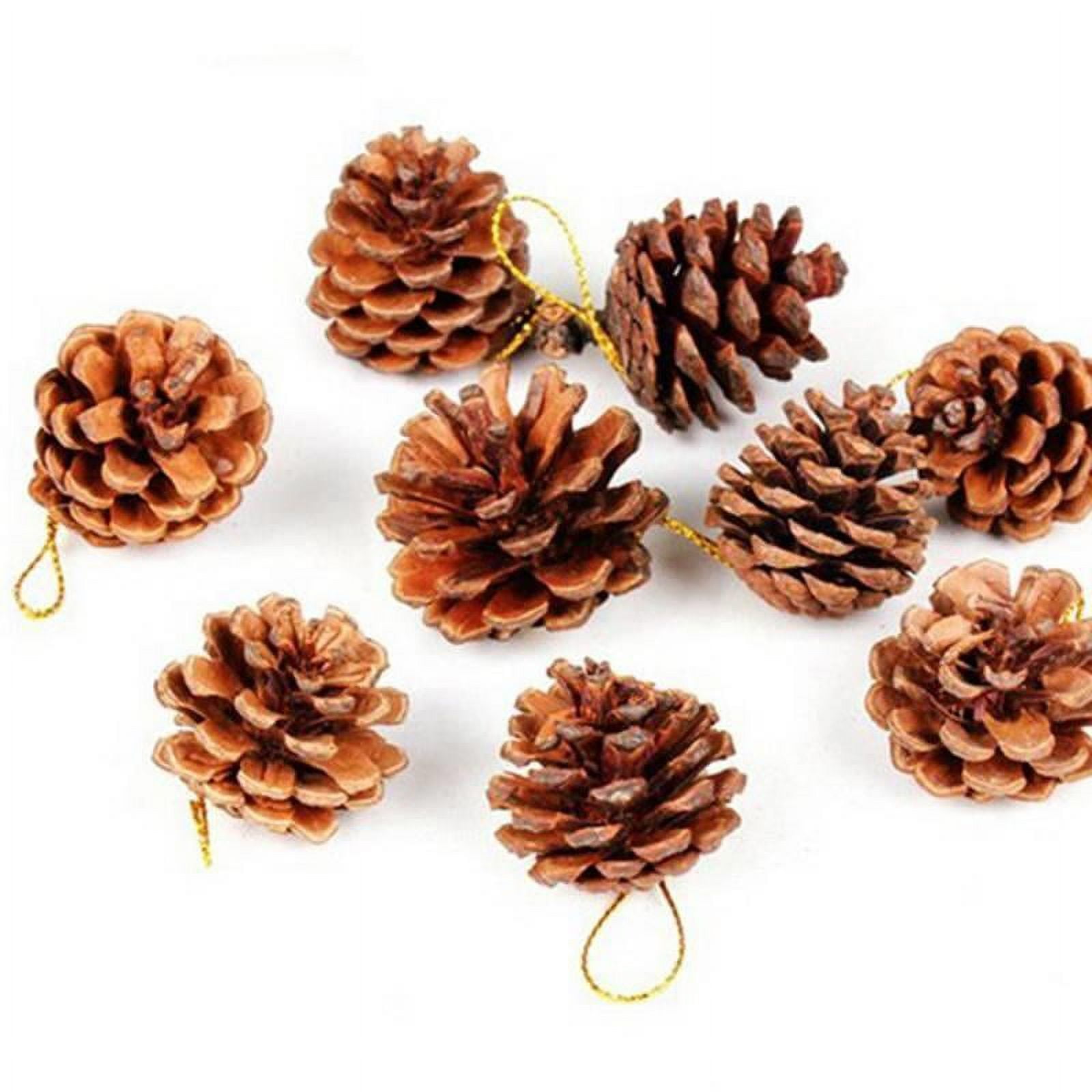 200Pcs Natural Mini Pine Cones Bulk, Thanksgiving Rustic Pine Cone