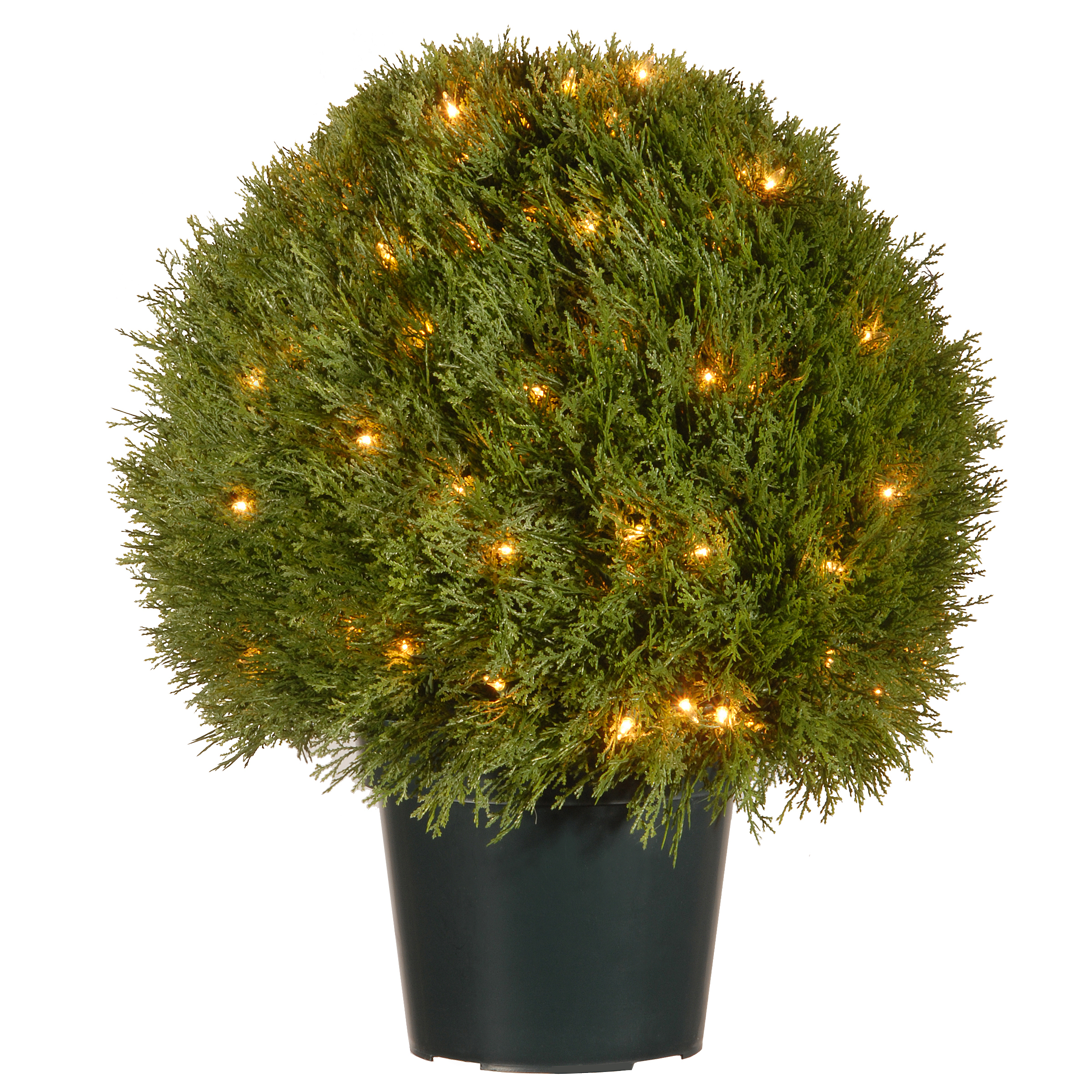 24" Pine Topiary in Round Green Growers Pot - Clear Lights - image 1 of 3