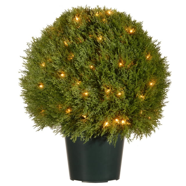 24" Pine Topiary in Round Green Growers Pot - Clear Lights