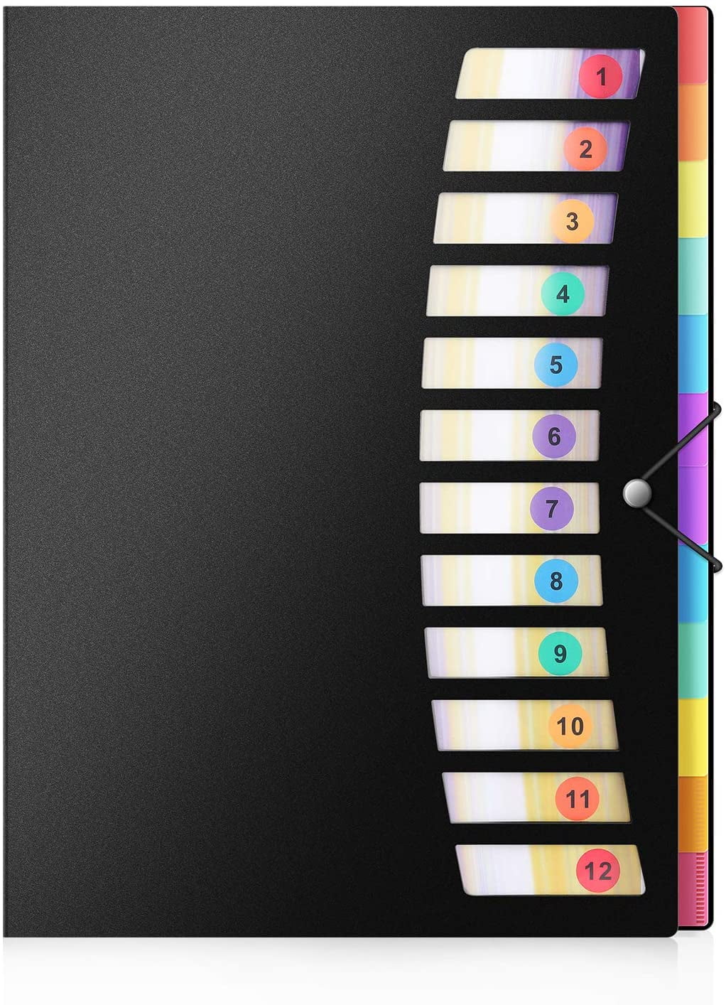 24 Pockets Poly Project Organizer Letter Size,Expanding Project Sorter Heavy Duty Plastic Document Organizer,Rainbow Accordion Folders A4 Hold 240sheets with Elastic Cord/Color Label,Black,A188