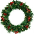 thumbnail image 1 of 24" Pre-Lit Artificial Christmas Wreaths for Front Door Decorated with Pine Cones, Red Berries, Frosted Branches, 50 LED Lights for Indoor Outdoor Christmas Decorations, 1 of 7