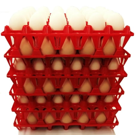 24 RITE FARM PRODUCTS 30 EGG POLY CHICKEN TRAYS SHIPPING CARTON POULTRY FLAT